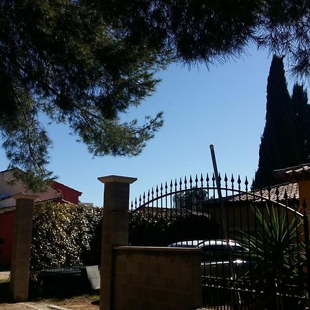 Chambres De La Terre Blanche Sanary-sur-Mer Quarto foto